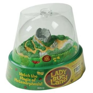 ladybugland.jpg Ladybugland